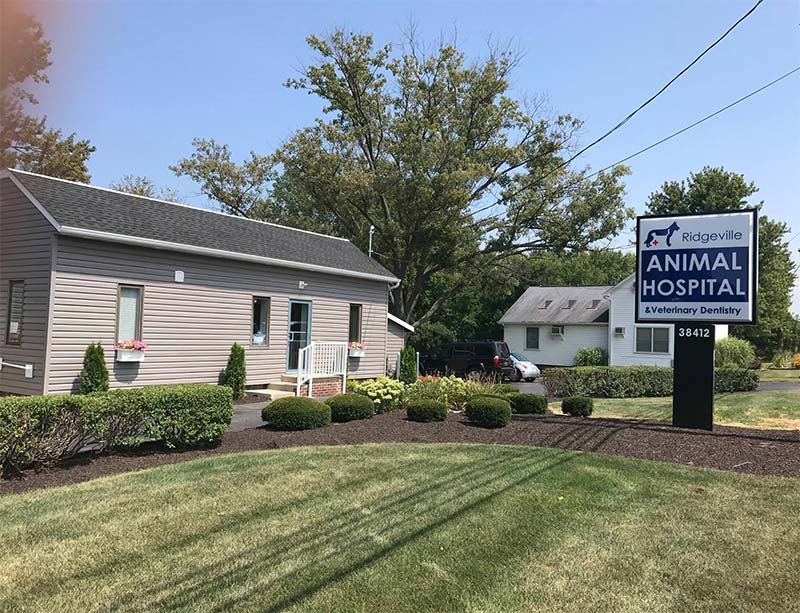 Veterinary Hospital in North Ridgeville