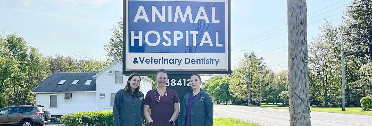 Ridgeville Animal Hospital | North Ridgeville Veterinary Hospital
